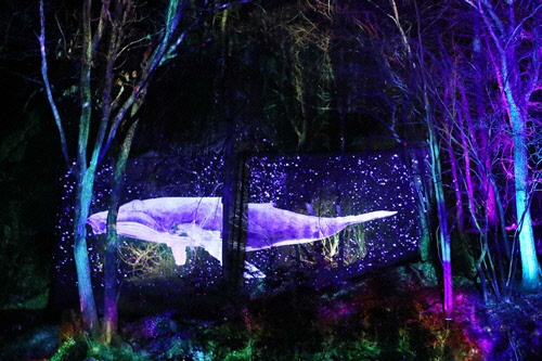 오크밸리 '소나타 오브 라이트'